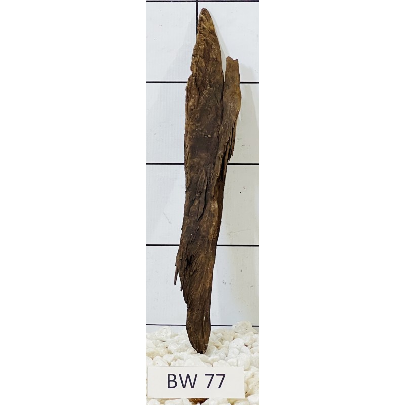 Bogwood 77