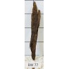 Bogwood 77