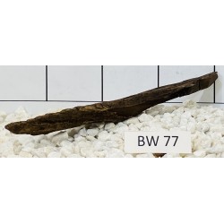 Bogwood 77