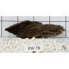 Bogwood 78