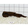 Bogwood 46