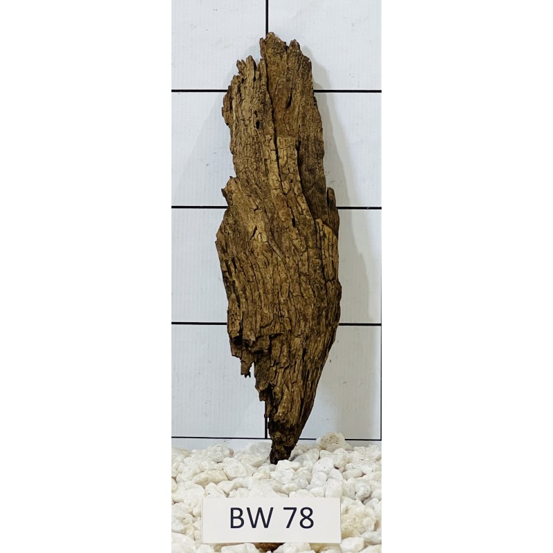 Bogwood 78