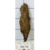Bogwood 78