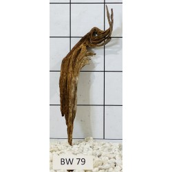 Bogwood 79