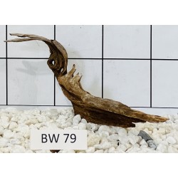 Bogwood 79