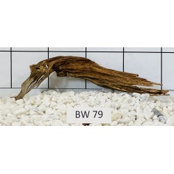 Bogwood 79