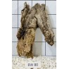 Bogwood 80