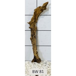 Bogwood 81
