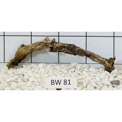 Bogwood 81