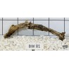 Bogwood 81