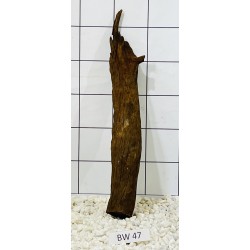 Bogwood 47