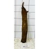 Bogwood 47