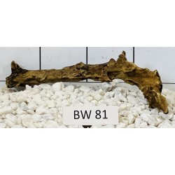 Bogwood 81