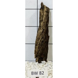 Bogwood 82