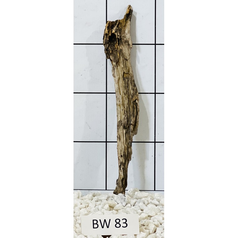 Bogwood 83
