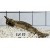 Bogwood 83
