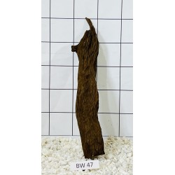 Bogwood 47