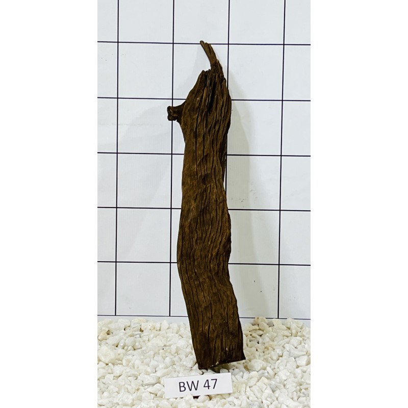 Bogwood 47