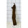 Bogwood 47