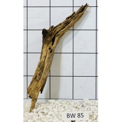 Bogwood 85