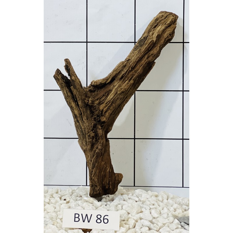 Bogwood 86