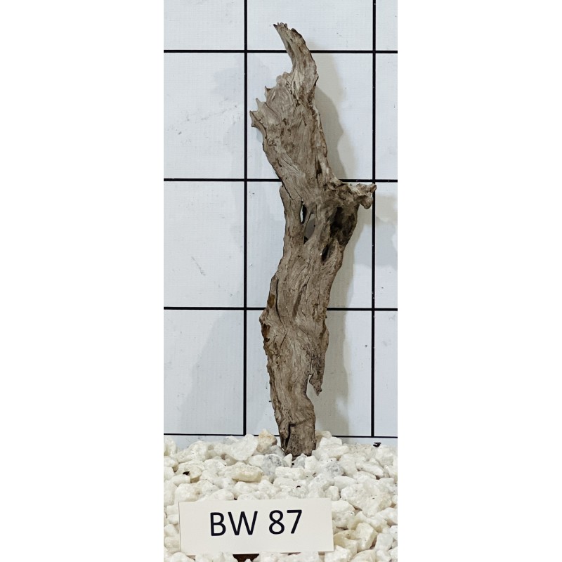 Bogwood 87