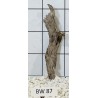 Bogwood 87