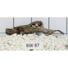 Bogwood 87