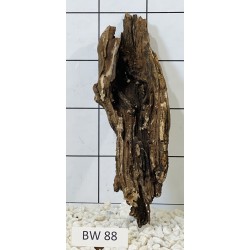 Bogwood 88