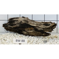 Bogwood 88