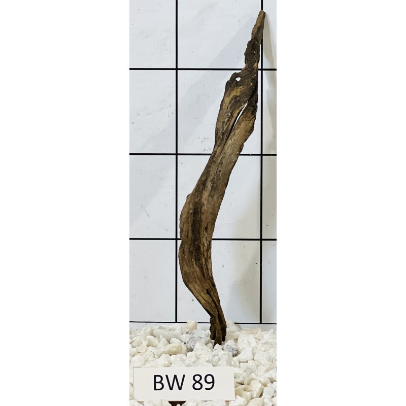 Bogwood 89