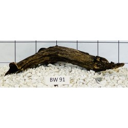 Bogwood 91