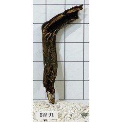 Bogwood 91