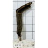 Bogwood 91