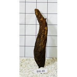 Bogwood 48