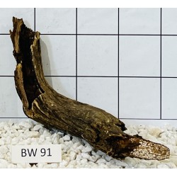 Bogwood 91