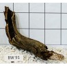 Bogwood 91