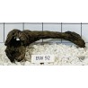 Bogwood 92