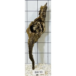 Bogwood 93