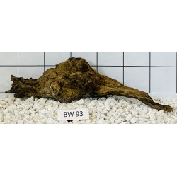 Bogwood 93