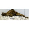 Bogwood 93