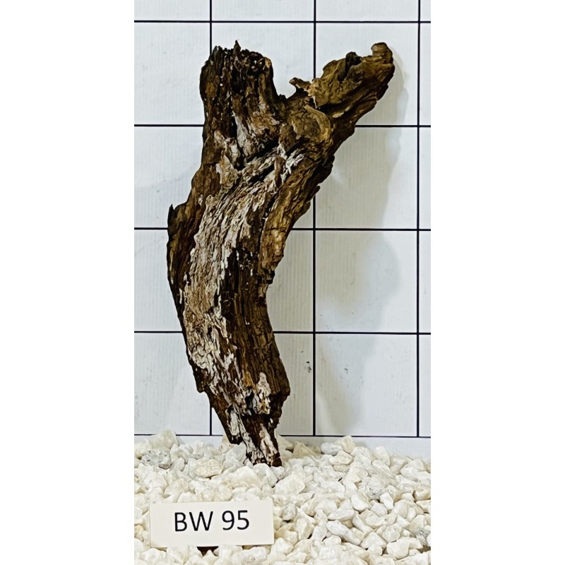 Bogwood 95