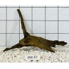 Bogwood 97