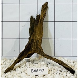 Bogwood 97