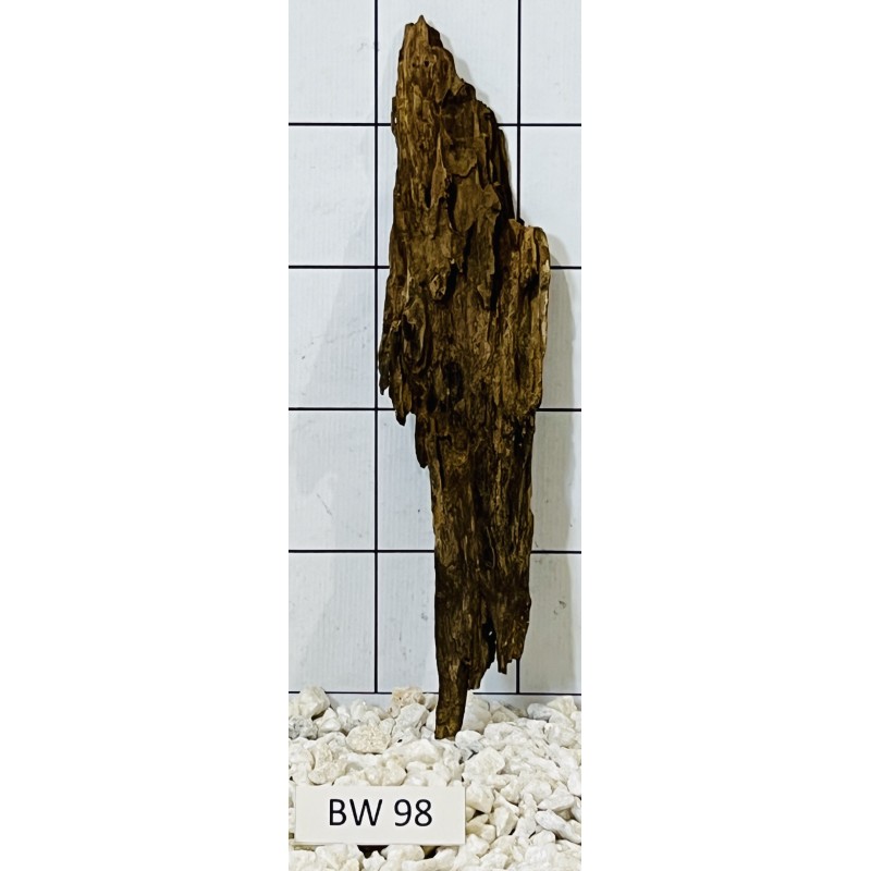Bogwood 98