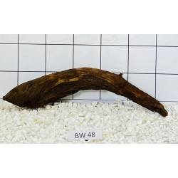Bogwood 48