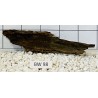 Bogwood 98