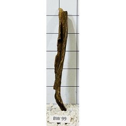 Bogwood 99