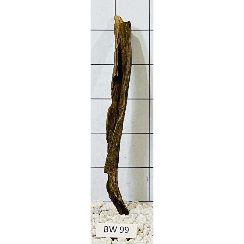 Bogwood 99