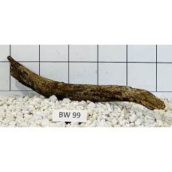 Bogwood 99